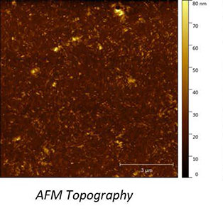 AFSEM MFM image obtained on a multilayered magnetic sample. (Figure 1) AFM Topography.