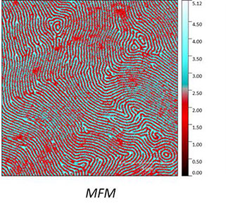 AFSEM MFM image obtained on a multilayered magnetic sample. (Figure 2) MFM Phase contrast revealing the different magnetic domains.